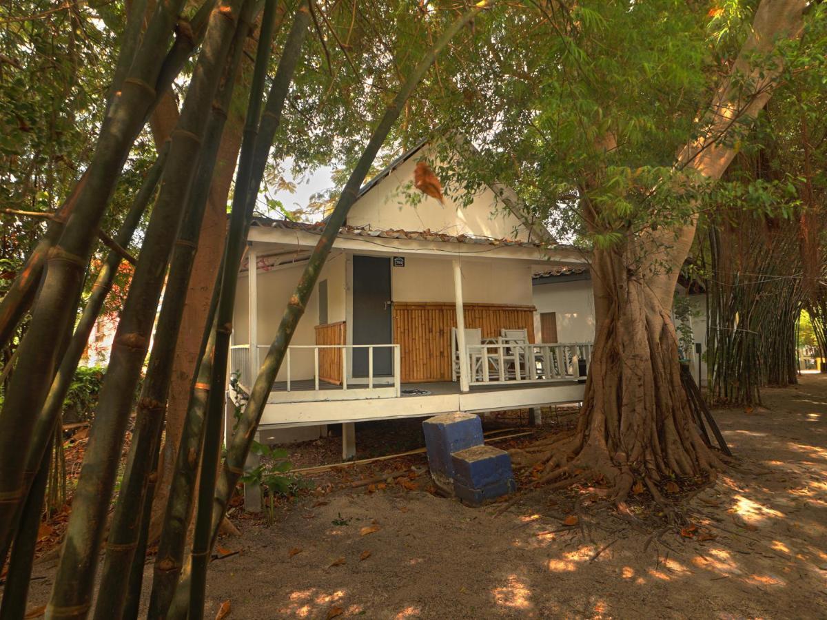 Asia Blue - Beach Hostel Hacienda Ko Pha Ngan Exterior photo